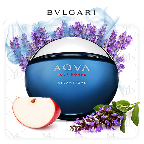 Bvlgari Aqva Pour Homme Atlantiqve MP men - My Parfumer