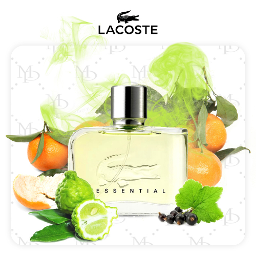 Lacoste Essential men - My Parfumer