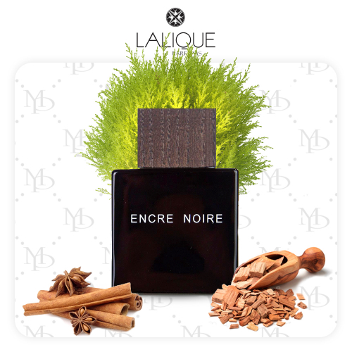 Lalique Encre Noire men - My Parfumer
