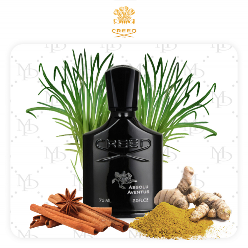 Creed Absolu Aventus man - My Parfumer